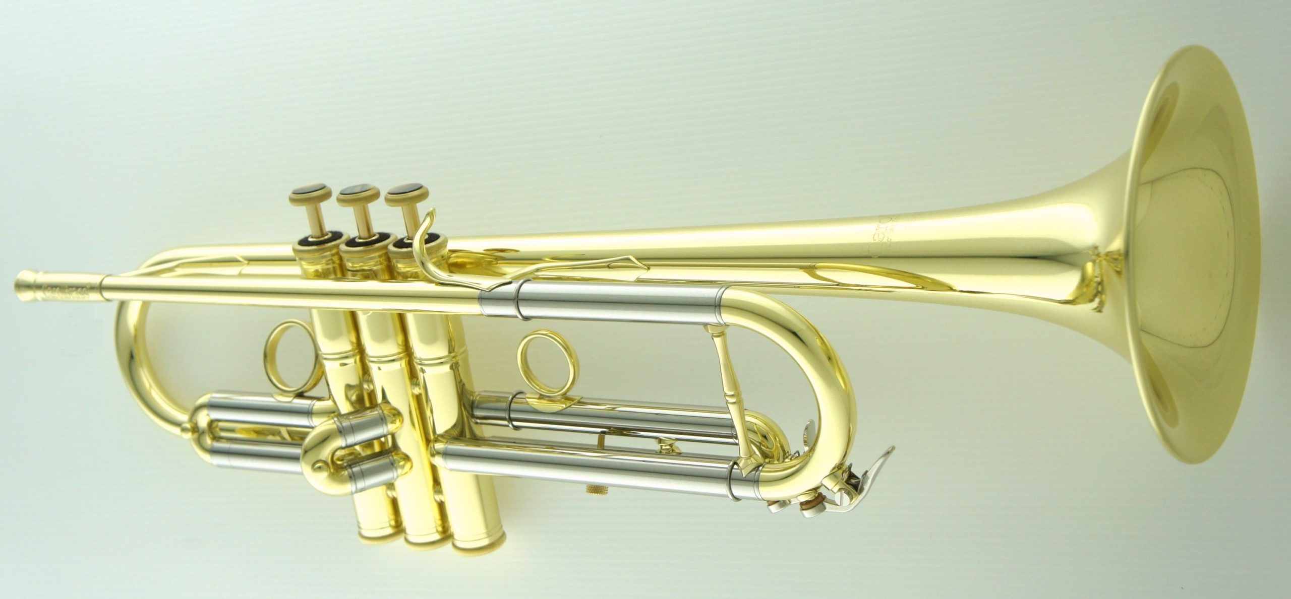 Carol Brass