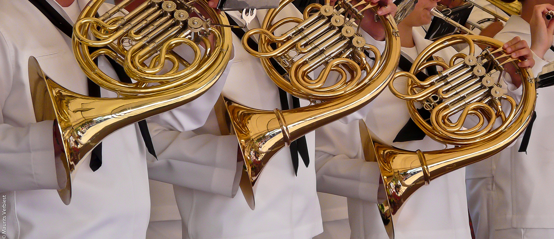 The Brass Instrument Family: French Horns, Trombones, Low Brass - Vanguard  Orchestral